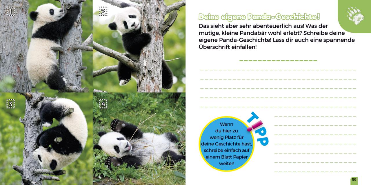 Der Kleine Zoo Entdecker Großer Panda Kiko Verlag